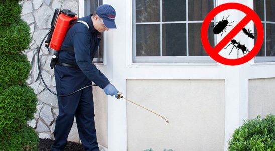 Dulkadiroğlu Kemirgen İlaçlama böcek ilaçlama ve haşere kontrolü — ilaclama-tr.com